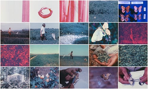 A grid of 20 stills from a movie