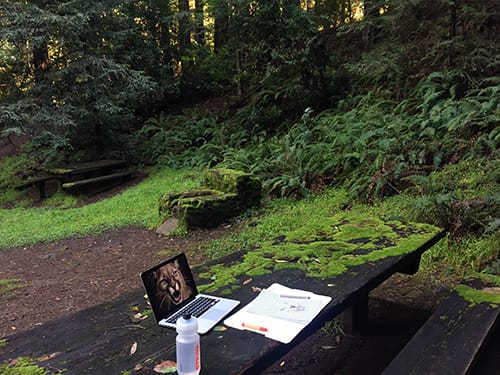 A picnic bench in the woods with a laptop and drawing supplies on it