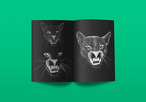 A black piece of paper with drawings of a cougar’s face on it, sitting on a green surface
